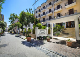 Hotel Conte Ischia Porto